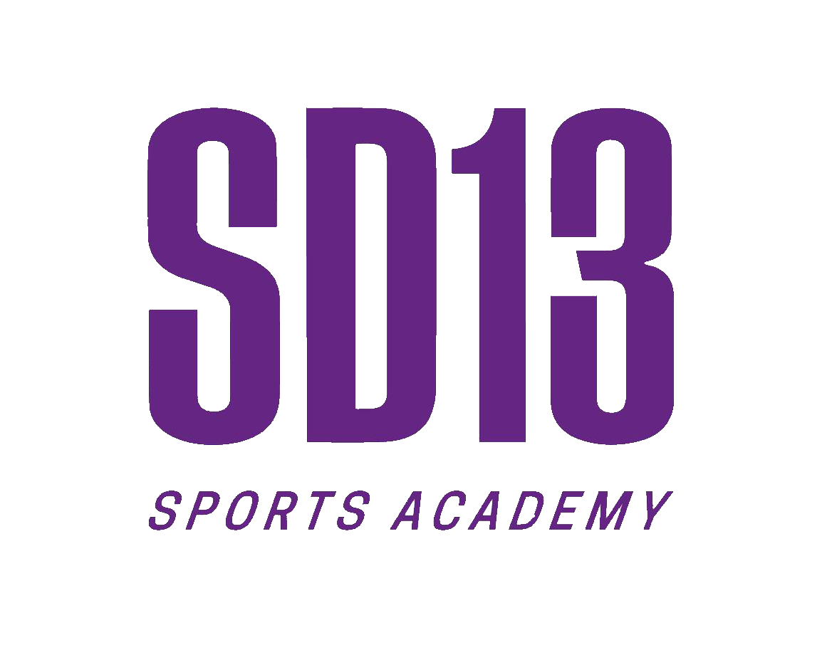 sd13-1.png