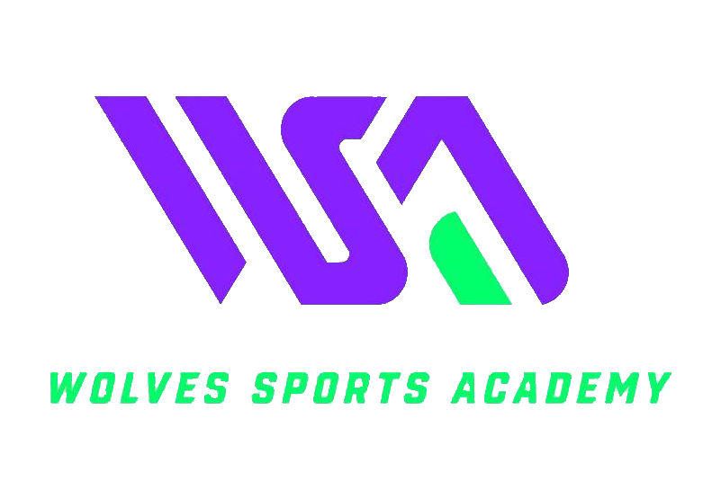 wsa-1.png